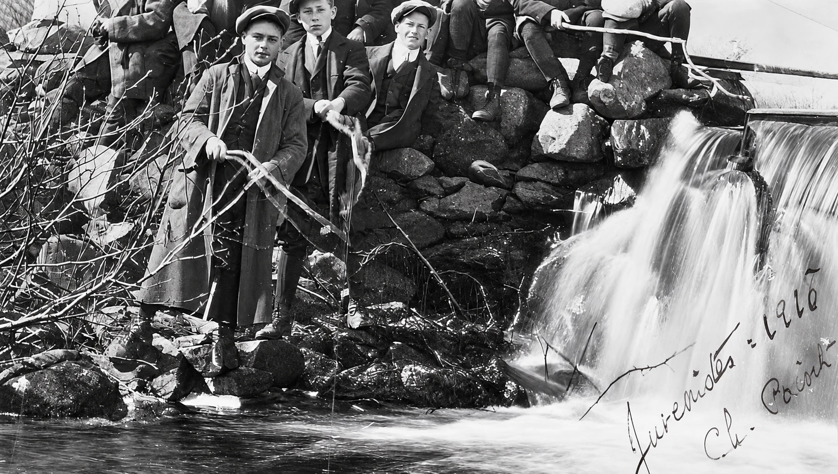 Juvenists in 1918